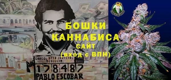 дживик Инта