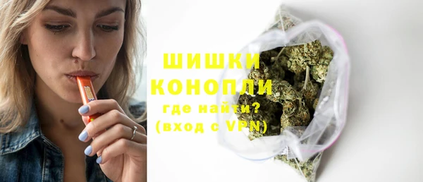 дживик Инта