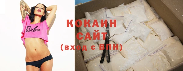 дживик Инта