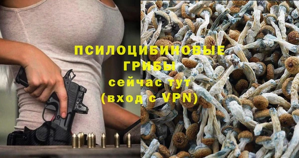 альфа пвп Инсар