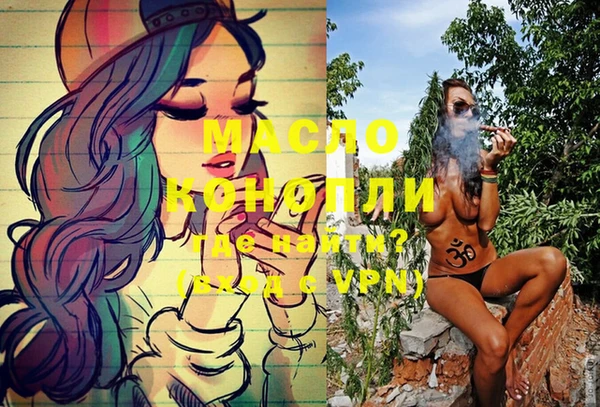 дживик Инта