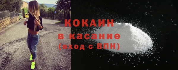 дживик Инта