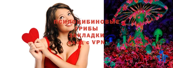 дживик Инта