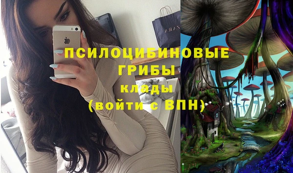альфа пвп Инсар