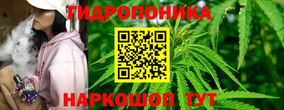 гидропоника Бийск