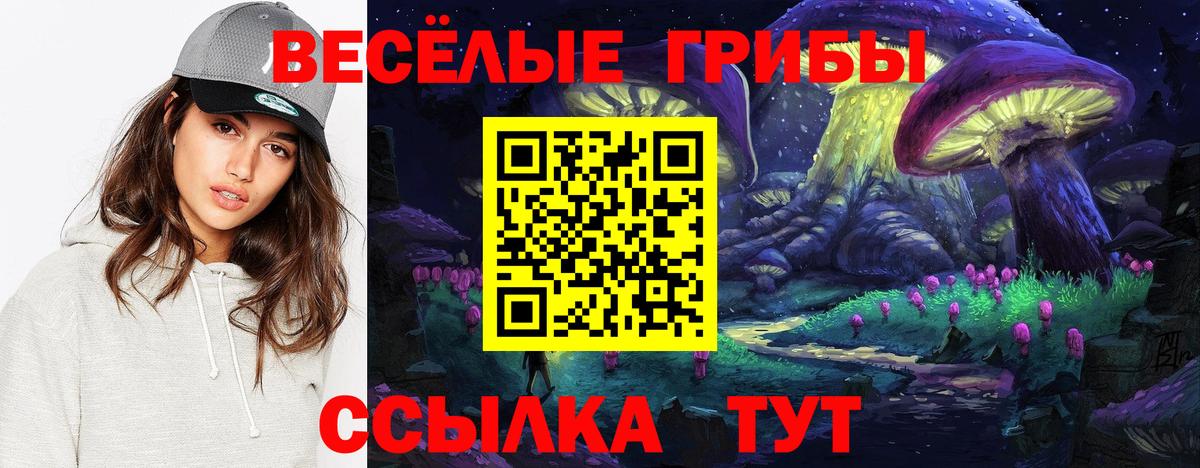 Ишимбай  Галлюциногенные грибы ЛСД  Вход с VPN  Галлюциногенные грибы Psilocybine cubensis 