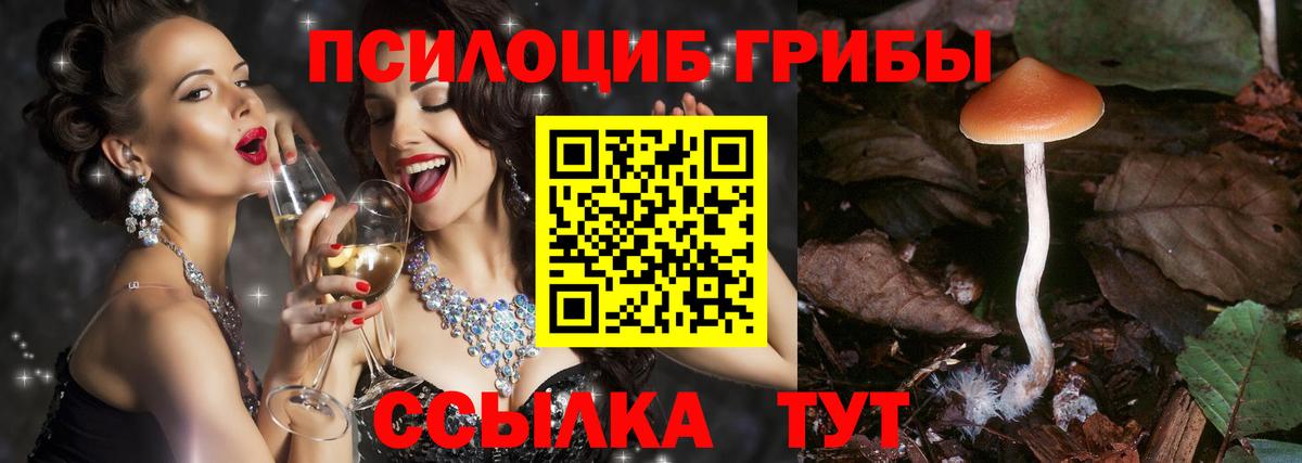 Галлюциногенные грибы Cubensis Ишимбай